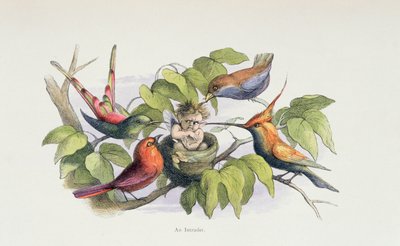 An Intruder, illustration from 